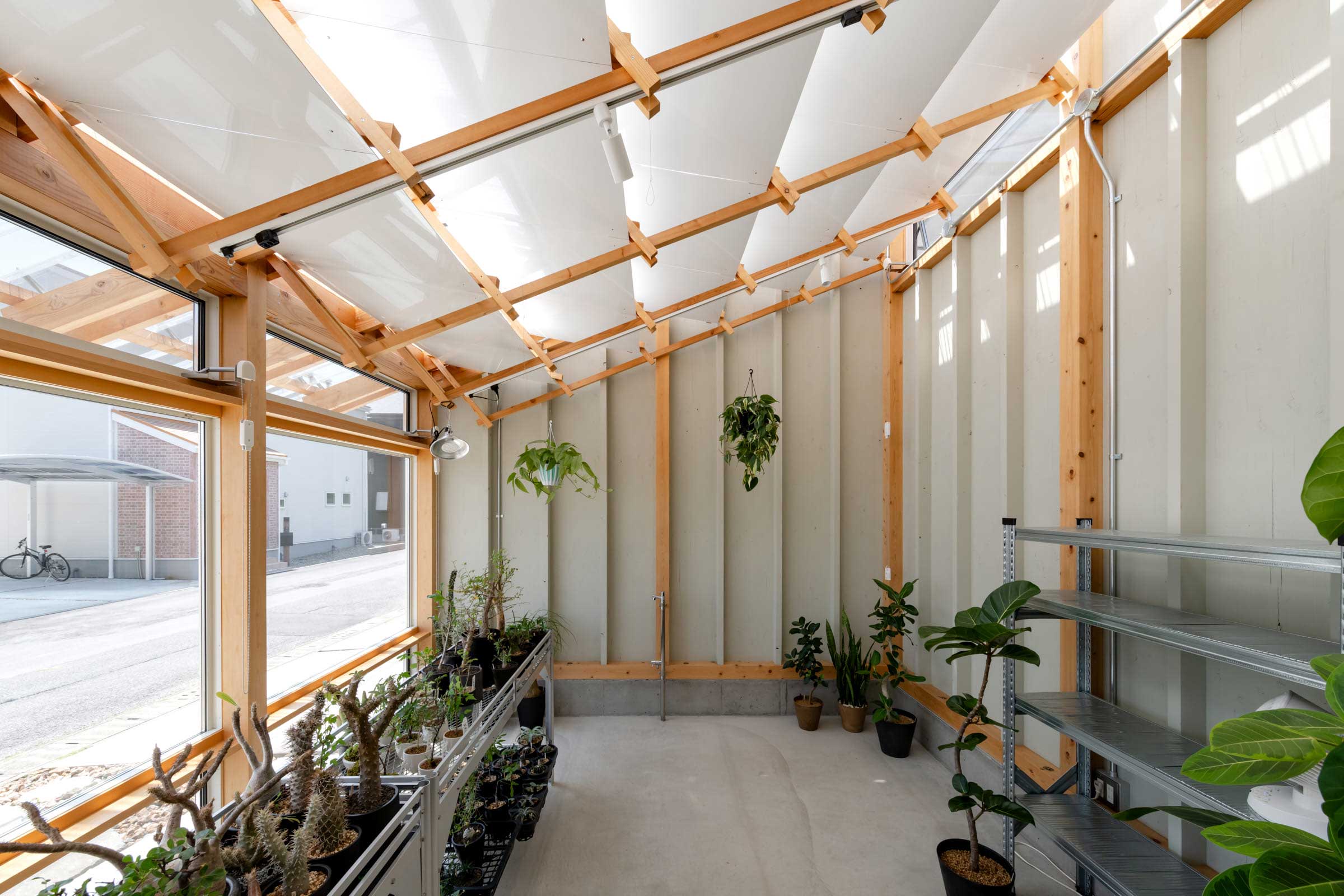 小林植物店　店内西側の風景