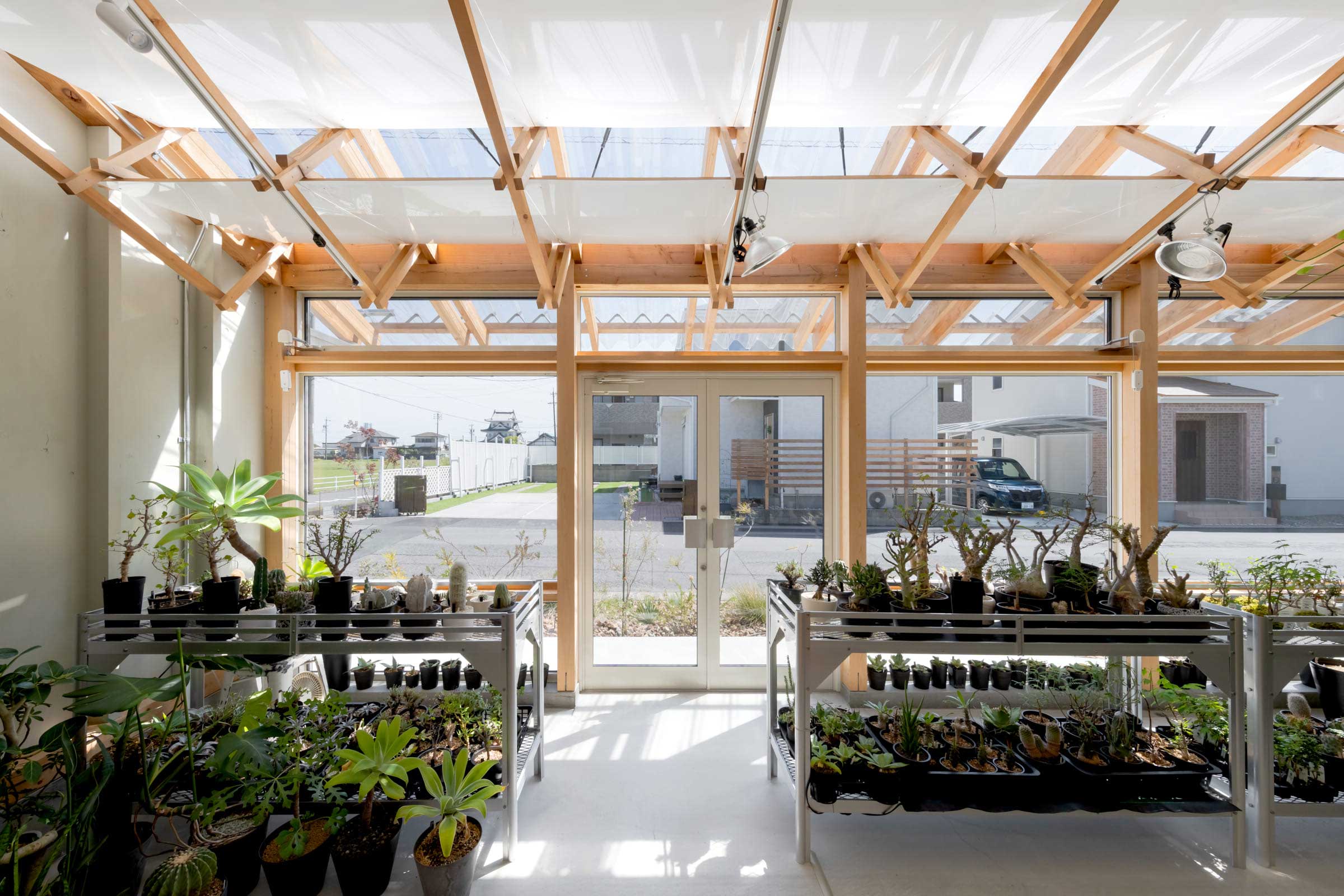 小林植物店　店内南側の風景