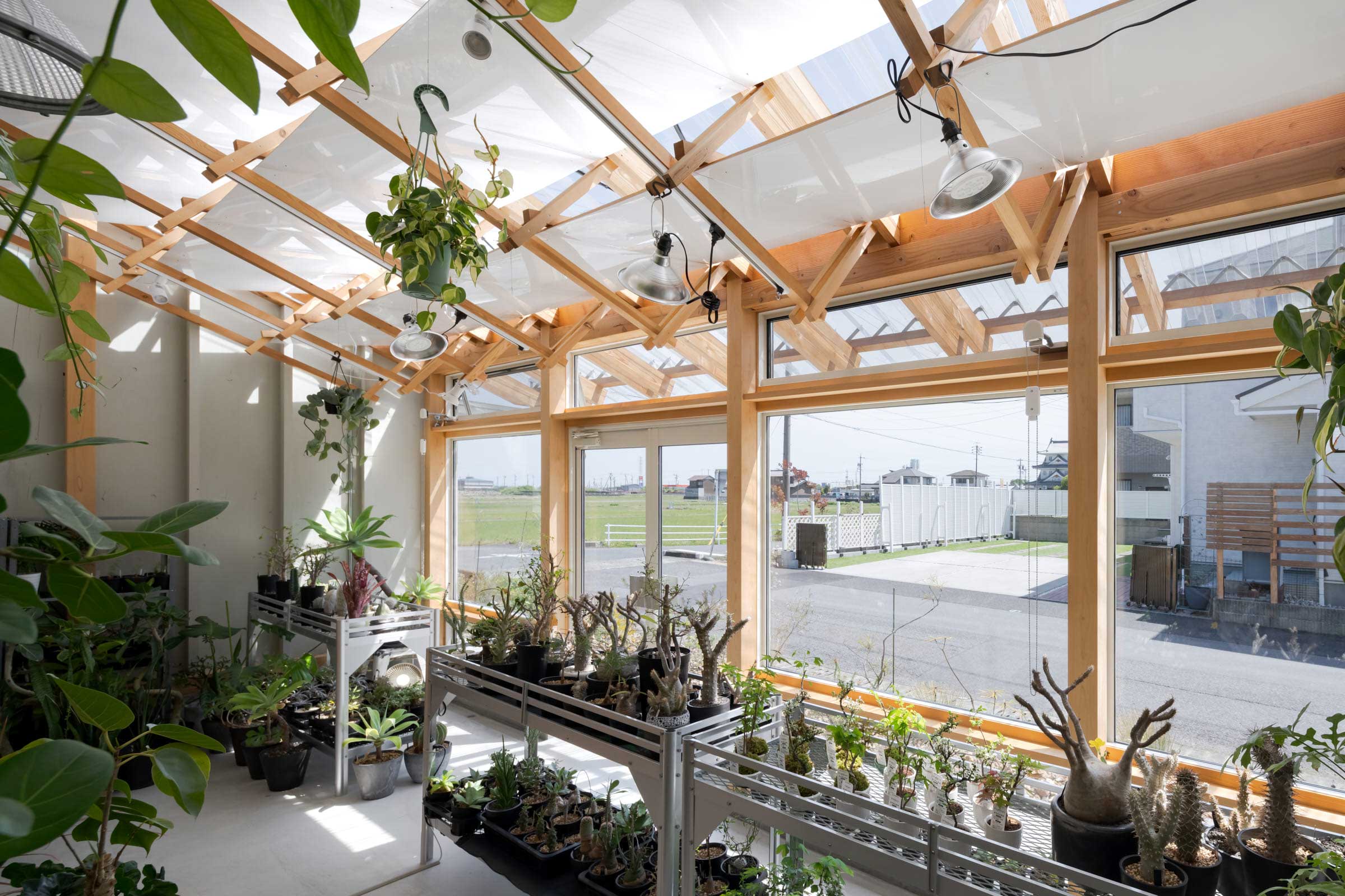 小林植物店　店内南東側の風景
