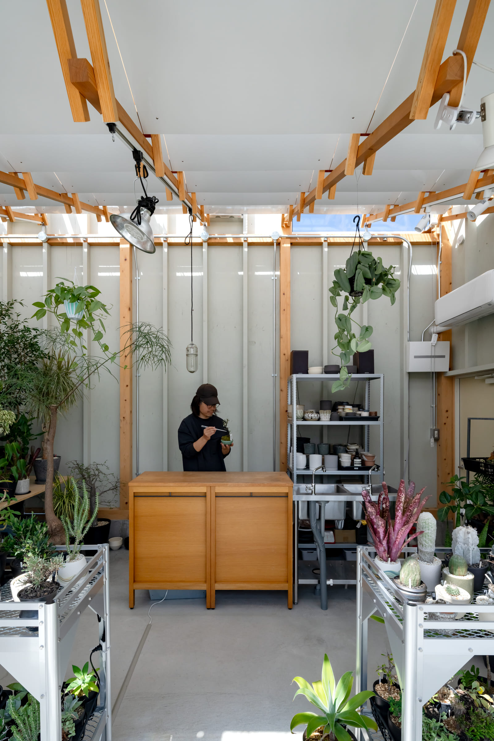 小林植物店　店内の北側風景