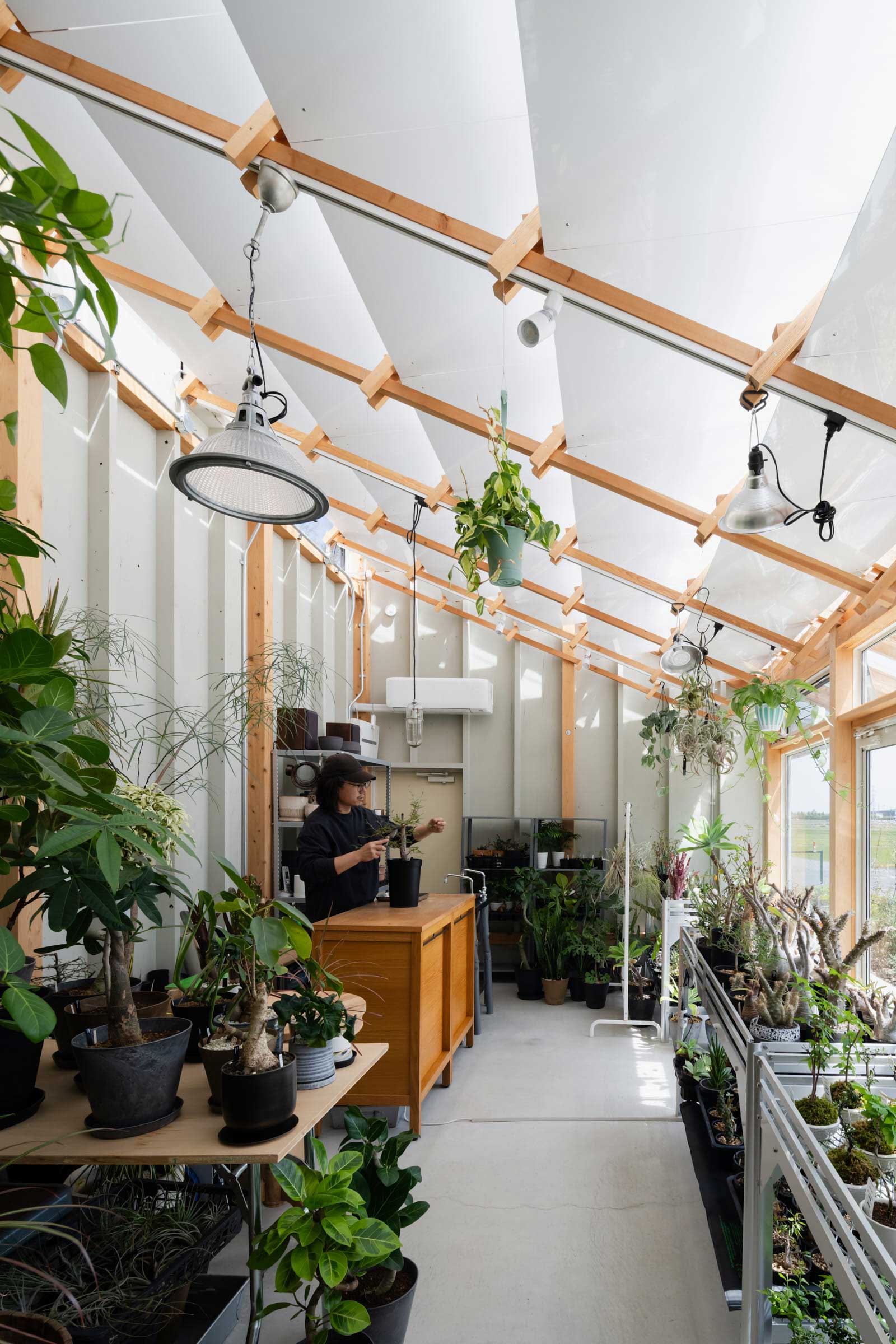 小林植物店　店内東側の風景
